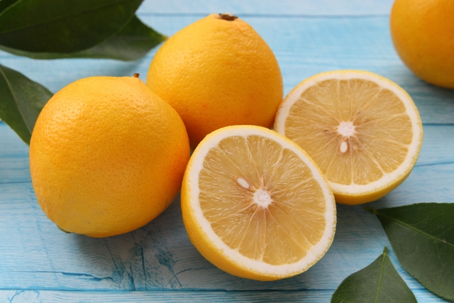 柑橘系の画像